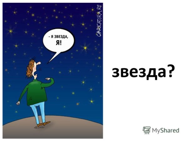 Кот и красные цветы