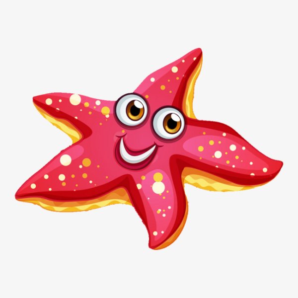 Морская звезда svg