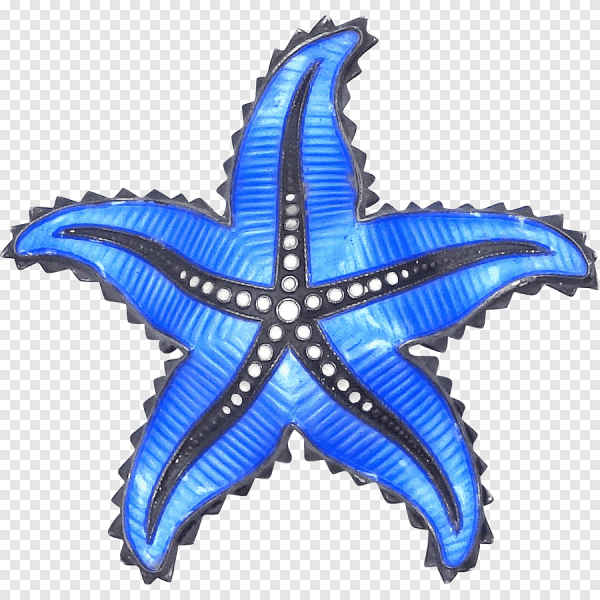 Морская Звездочка