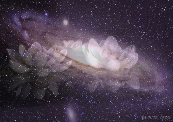 Жаркий поцелуй на ночь