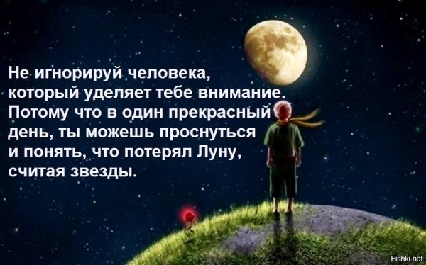 Потерял луну считая звезды