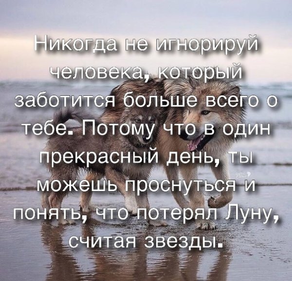 Не потеряй луну считая звезды