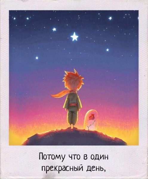 Не теряй луну считая звезды