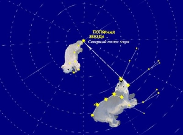Большая Медведица Созвездие