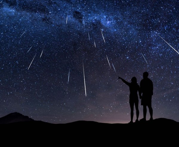 Урсиды метеорный поток 2020