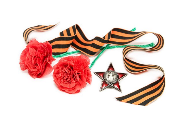 Гвоздики с георгиевской лентой