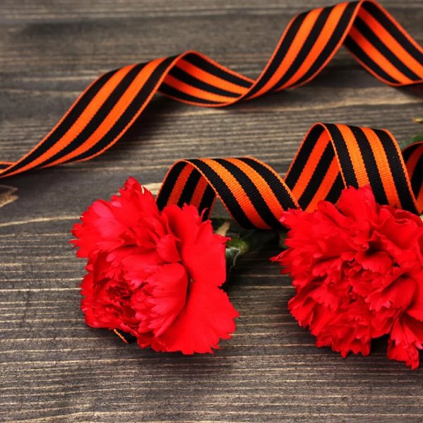 Гвоздики 9 мая