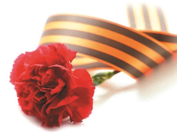 Гвоздика с георгиевской