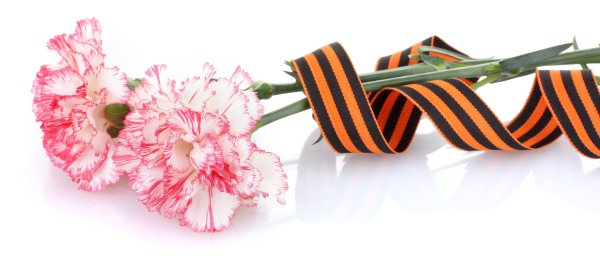 Георгиевская лента с гвоздиками