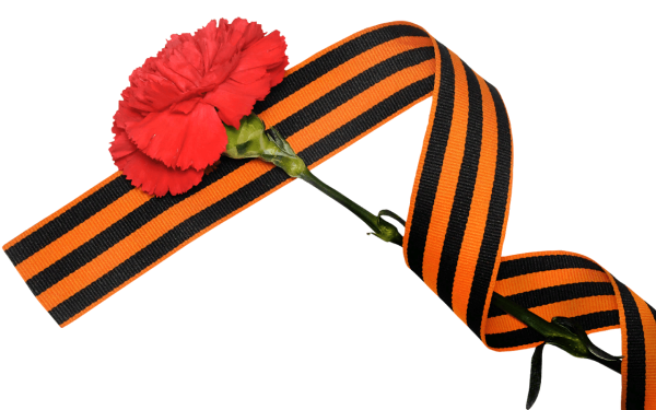 Георгиевская лента с гвоздикой