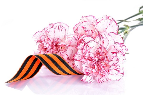 Цветы с георгиевской лентой