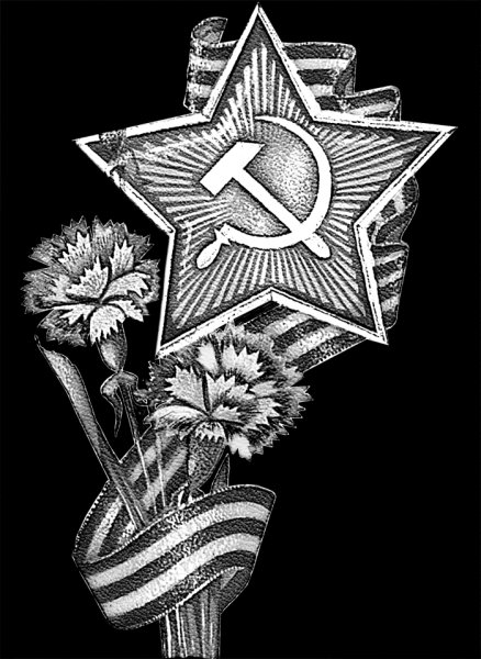 Георгиевская ленточка и гвоздики на прозрачном фоне