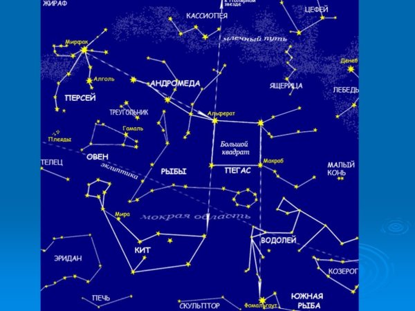 Звезды и созвездия астрономия