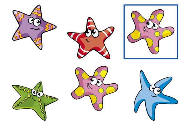 Морская звезда для дошкольников