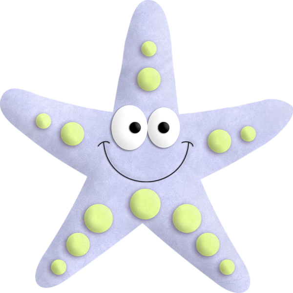 Морская звезда для детей