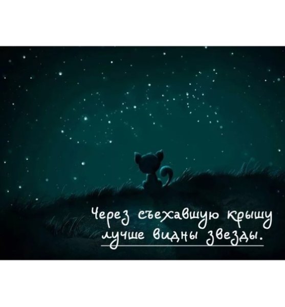 Красивые высказывания о ночи