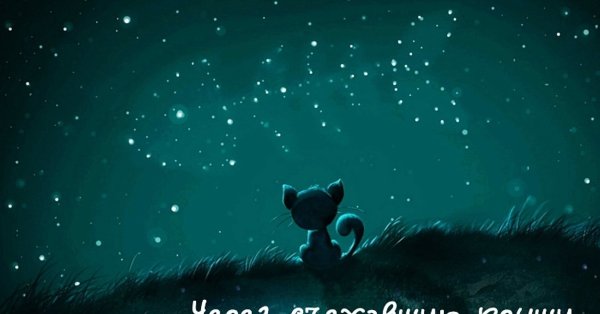 Через съехавшую крышу лучше видно звезды