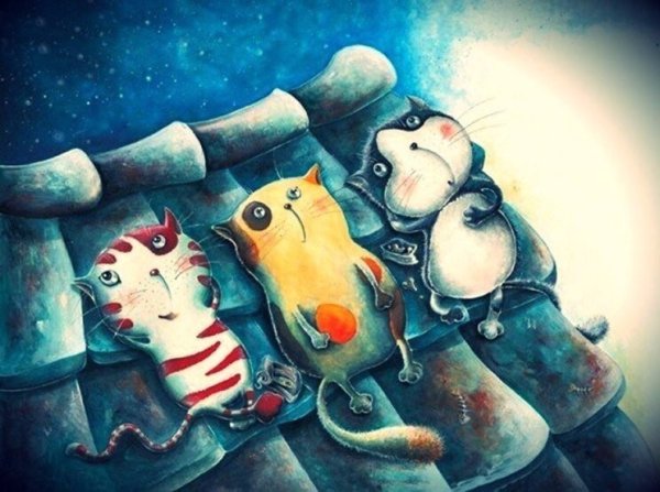 Через съехавшую крышу