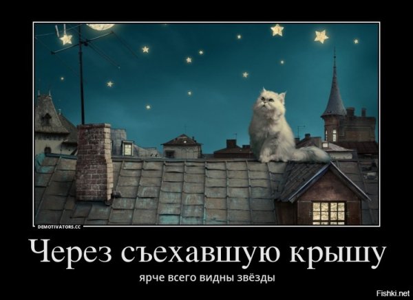 Высказывания о звездах