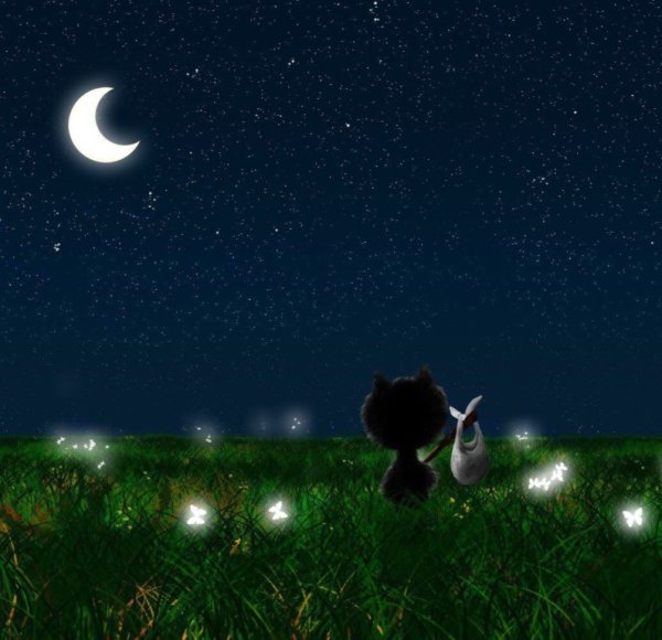 Через съехавшую крышу звезды