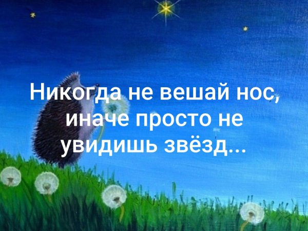 Книга увидеть звезды