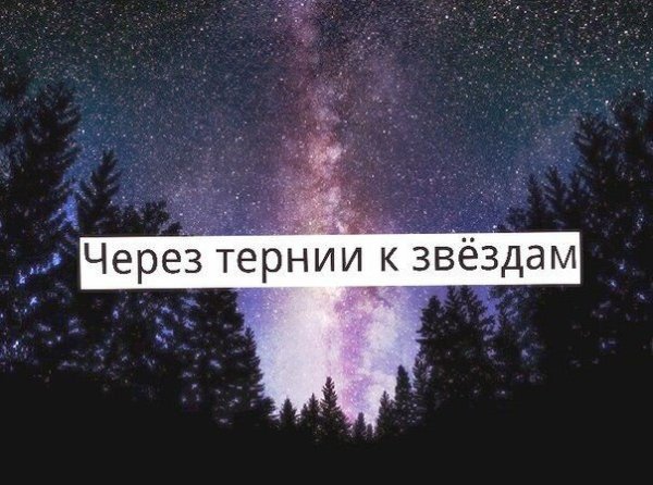 Сквозь тернии к звездам
