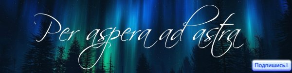 Сквозь тернии к звездам