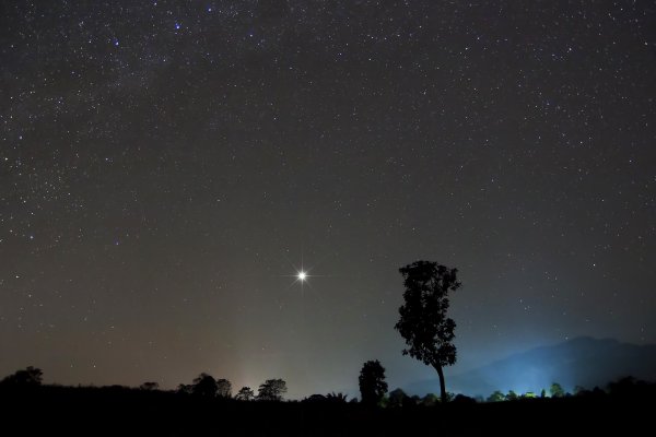 Полярная звезда