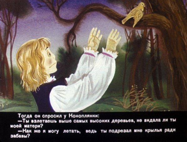 Читать книгу мальчик звезда