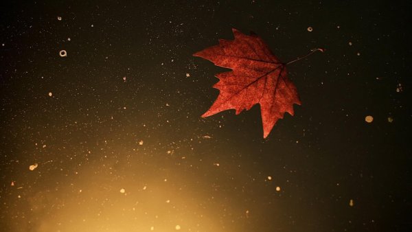 Осеннее ночное небо