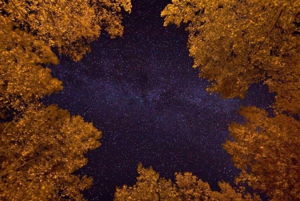 Фон осень