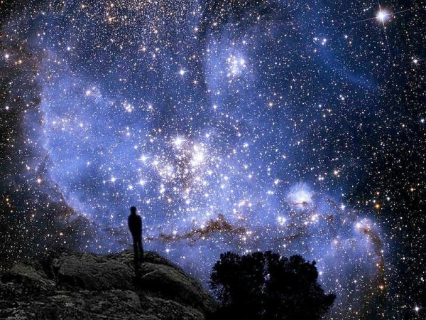 Спокойной ночи падающие звезды