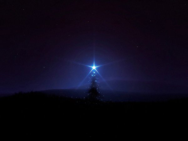 Звезда Вифлеема 2005