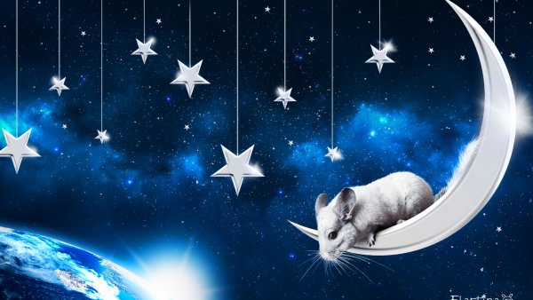 Детский сон