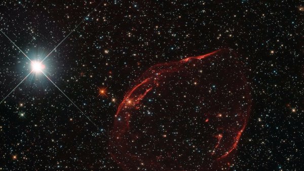 Проксима Центавра