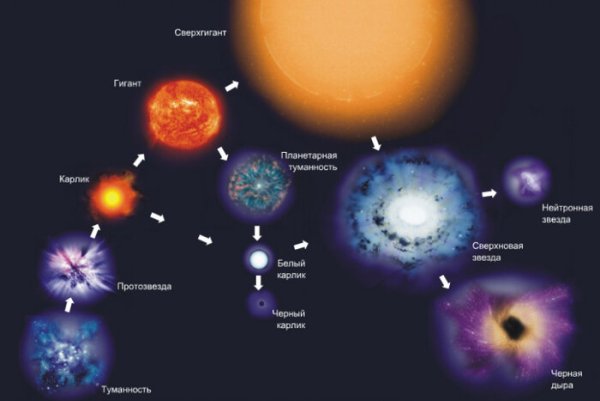 Эволюция звёзд схема протозвезда