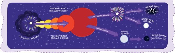 Середина жизненного цикла звезды