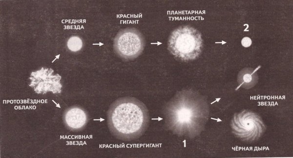 Жизненный цикл звезд протозвезда