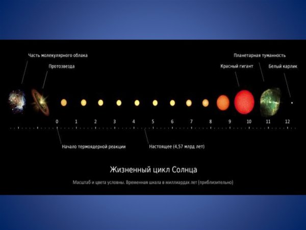 Эволюция звёзд схема протозвезда