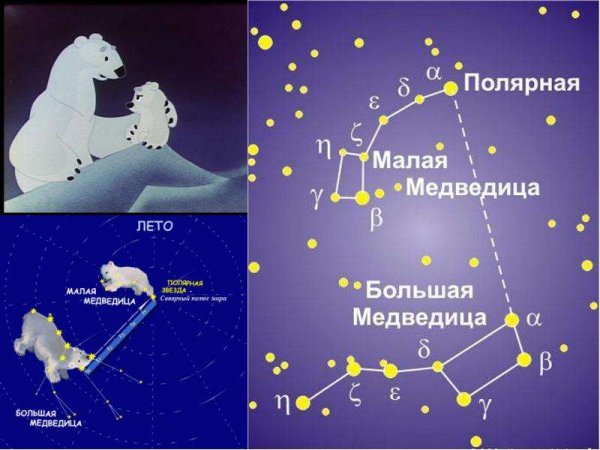 Созвездие малой медведицы схема