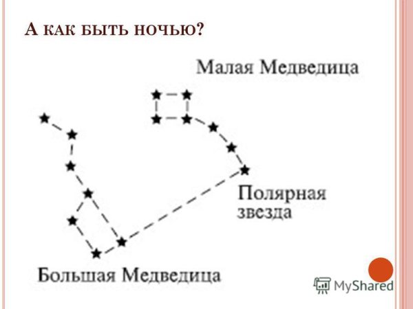 Созвездие малой медведицы схема