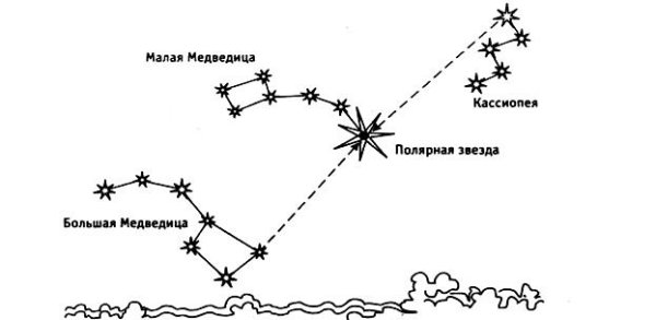 Малая Медведица Созвездие схема