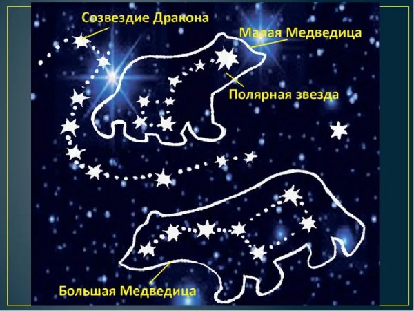 Большая Медведица (Ursa Major)