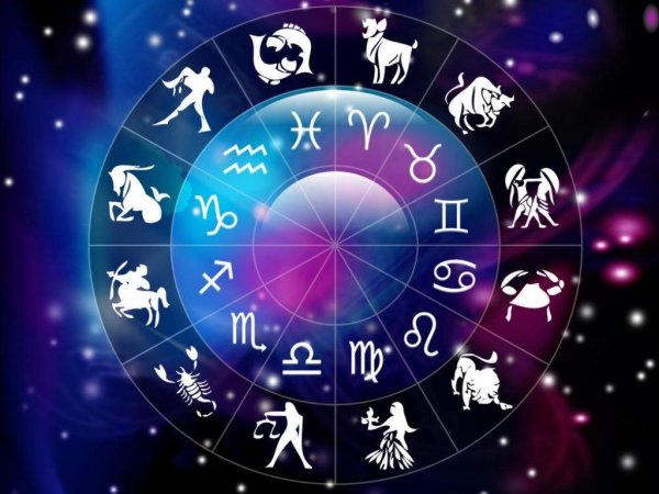 Знаменитости Стрельцы