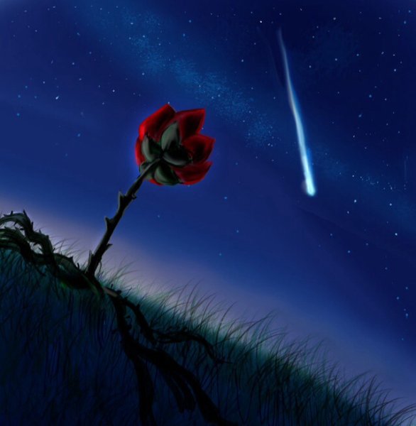 Цветок Падающая звезда