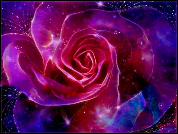 Галактика роза