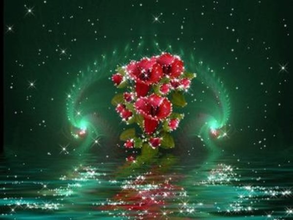 Прекрасная роза и ночь