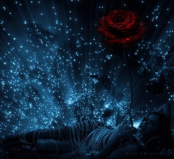 Волшебные цветы ночь