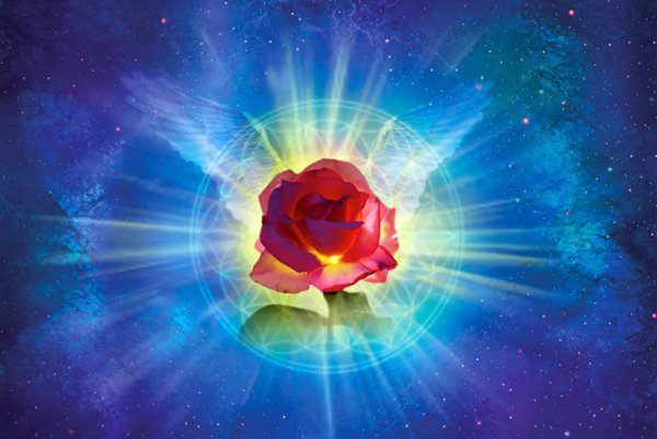 Божественный цветок любви