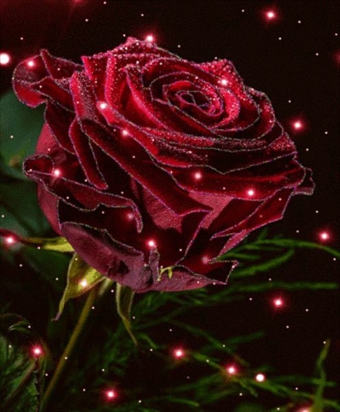 Сверкающие цветы красивые